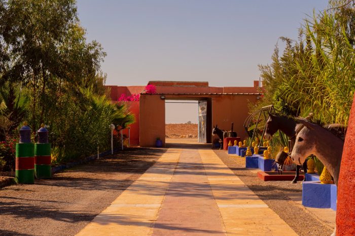 265821095_1875205389333627_1534908475865773709_n